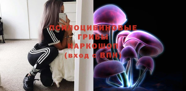 шишки Волоколамск