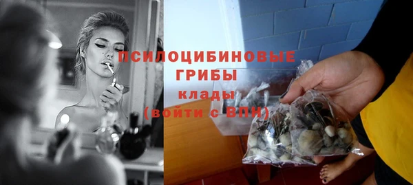 шишки Волоколамск