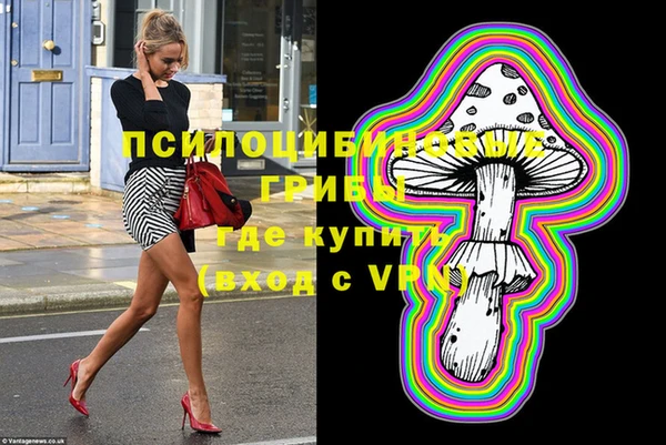шишки Волоколамск