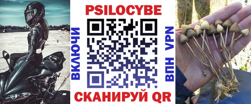 Купить где  Куртамыш  Галлюциногенные грибы прущие грибы 