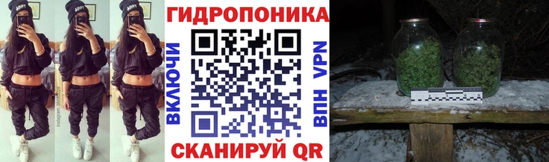 Купить где  Куртамыш  Бошки Шишки ГИДРОПОН 